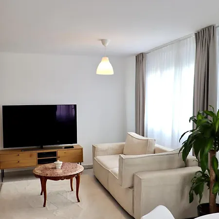 Chaleureux En Centre-ville *